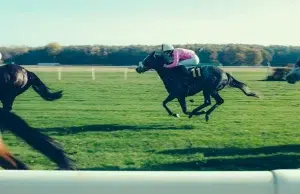 Apostar en carreras de caballos por internet: Qué hay que tener en cuenta Apostar en carreras de caballos por internet