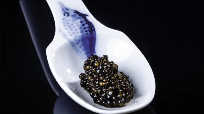 El caviar- De lujo culinario a superalimento moderno El caviar: De lujo culinario a superalimento moderno