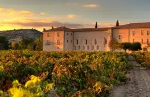 Vinos Ribera del Duero recomendados Vinos denominación de origen recomendados
