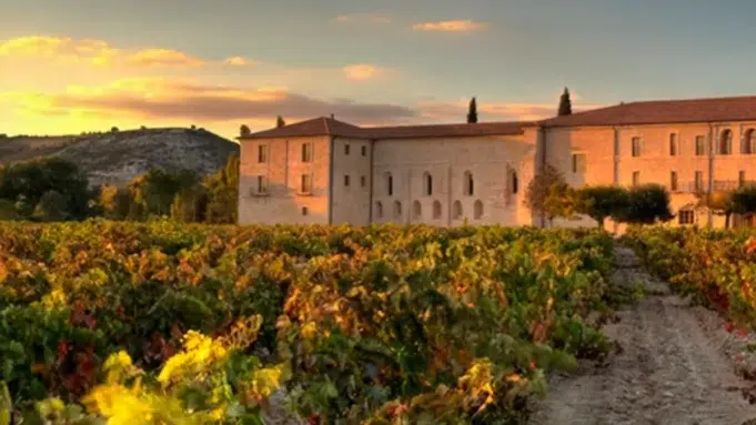 vinos denominacion de origen ribera del duero recomendados Vinos denominación de origen recomendados