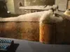 ¿Egipto es un país seguro para visitar? Es seguro viajar a Egipto por libre. Foto cedida por viajaresvida.com
