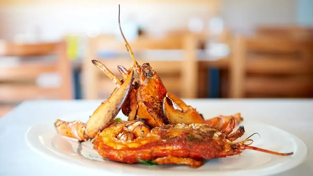 La cervecería del puerto de Barcelona con cocina mediterránea