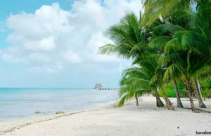 Cruceros por el Caribe latino: salidas desde Cartagena y otros puertos Cruceros por el Caribe latino: salidas desde Cartagena