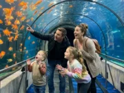 Cómo organizar tu visita a Barcelona, elegir bien las entradas y no gastar de más museos gratis en Barcelona
